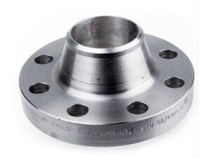 Industrial Flange